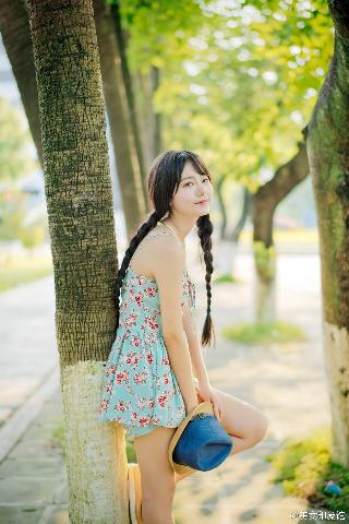 树影迷宫电视剧免费播放