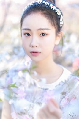 斗破苍穹动漫在线观看完整版免费