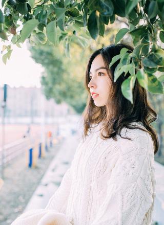 欧美MV与日韩MV的对比