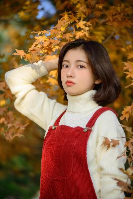 宁安如梦电视剧免费观看全集高清