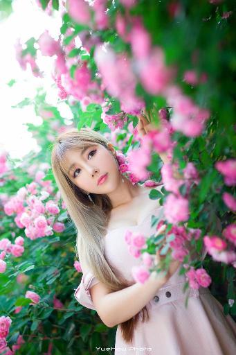 北欧人免费观看完整电视