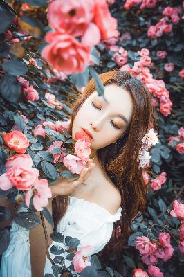 潘金莲的前世今生在线观看免费高清电视剧