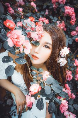 波多野结衣电影