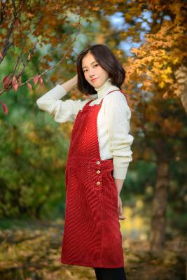 YY影院在线观看高清电视剧大全