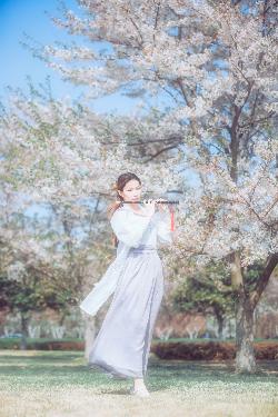 锦绣芳华 电视剧