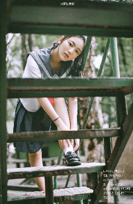 书卷一梦电视剧免费观看