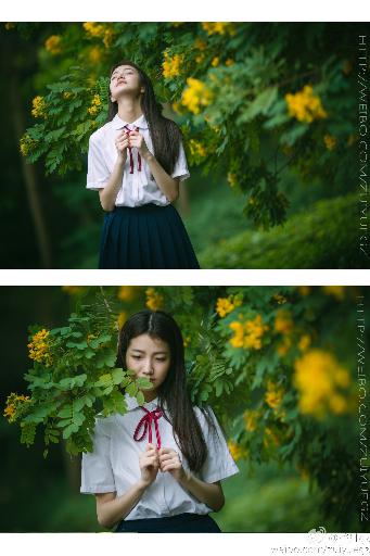 入青云电视剧免费观看全集完整版