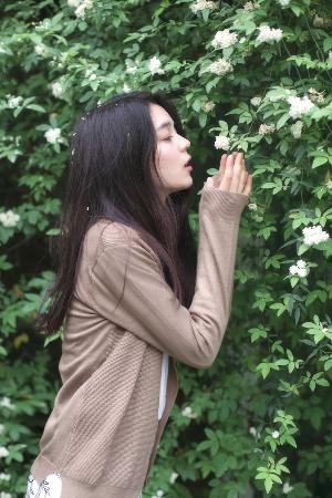 樱花动漫网官方入门网站