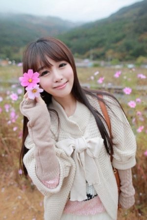 城中之城电视剧免费观看全集